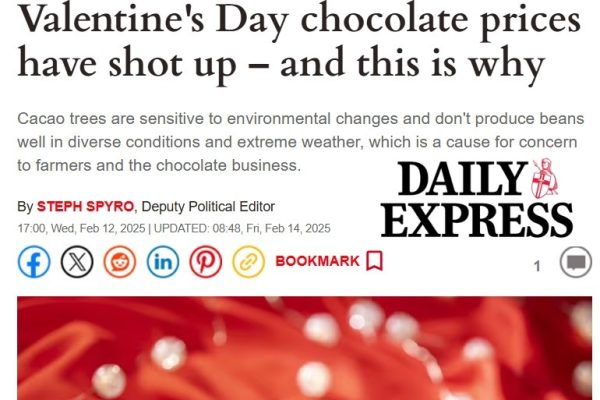 Cost of Valentine’s Day Chocolate rockets amid climate change